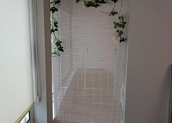 Progreso Marketloft 24 *